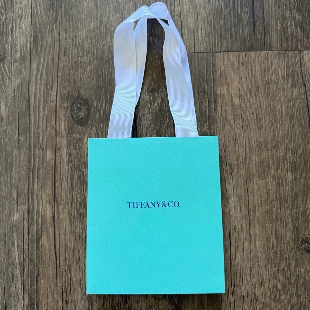 TIFFANY & CO Turquoise Blue Mini Paper Gift Bags Tote Reusable V Day Birthday